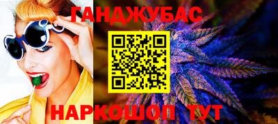 гашик Надым