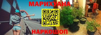 гашик Надым