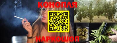 гашик Надым