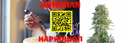 гашик Надым