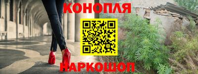 гашик Надым